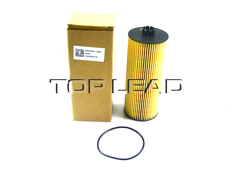 SinotrukHOWO OIL FILTER 080V05504-6096